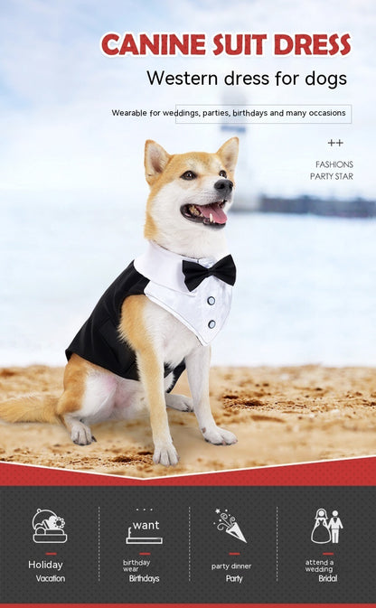 Holiday Wedding Party Dog Clothes